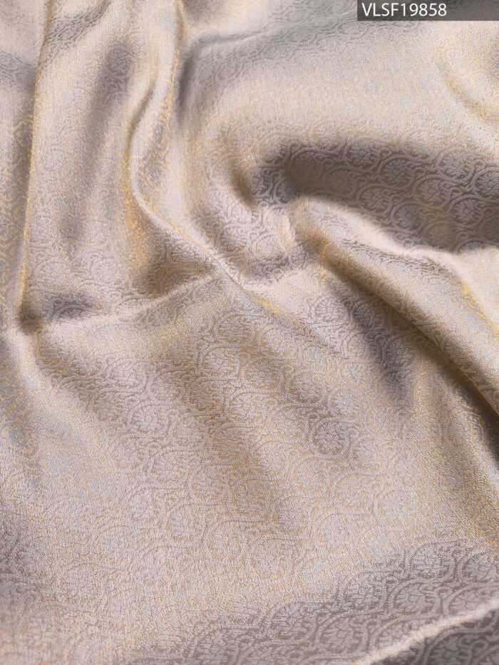 Pastel Coloured Fancy Silk Saree with Artistic Motifs and Elegant Zari Border - Image 4