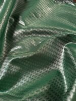 Peach Coloured Tissue Saree with Intricate Brocade and Zari Woven Border - Image 4