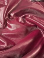 Pastel Green Tissue Saree with Floral Motifs and Rich Zari Woven Border - Image 4