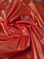 Beige and Rust Coloured Tissue Saree with Floral Brocade and Rich Zari Pallu - Image 4