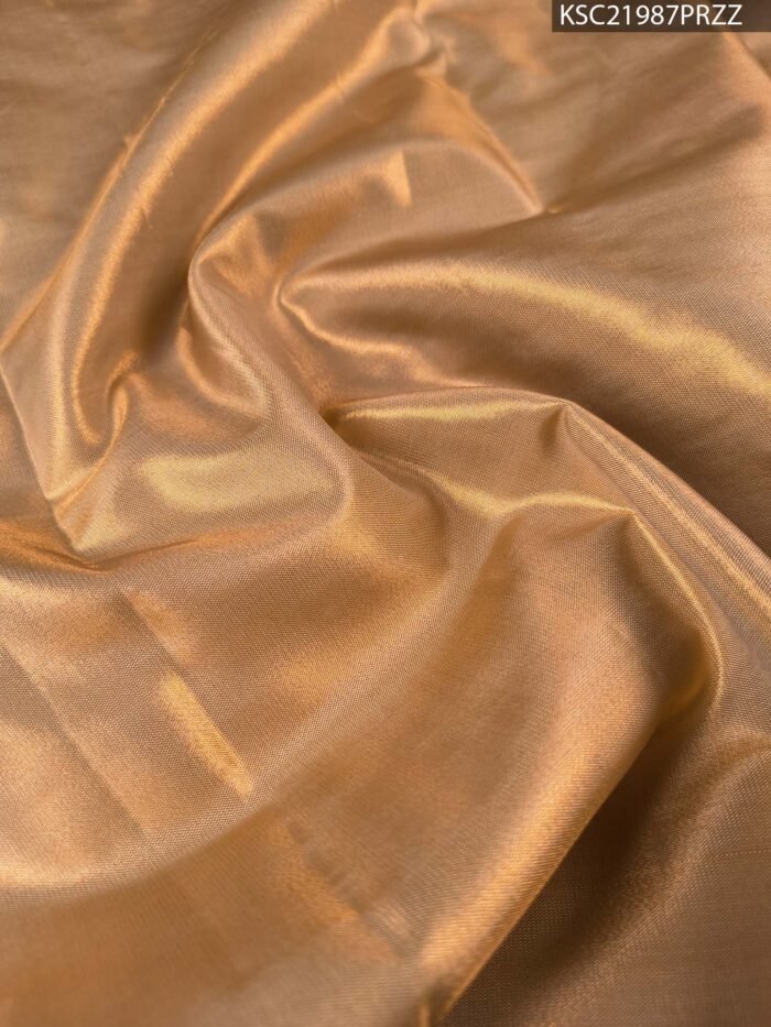 Orange Coloured Tissue Silk Saree with Paisley Motifs and Zari Woven Border - Image 4